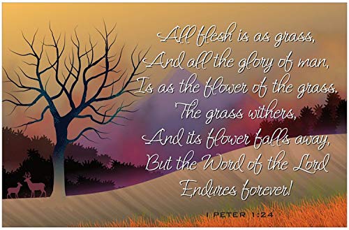 Creation Enterprises Endures Forever Inspirational Christian Poster-I88