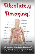 Creation Enterprises Absolutely Amazing Inspirational Christian Poster-I92
