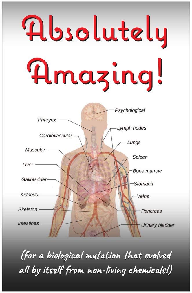 Creation Enterprises Absolutely Amazing Inspirational Christian Poster-I92