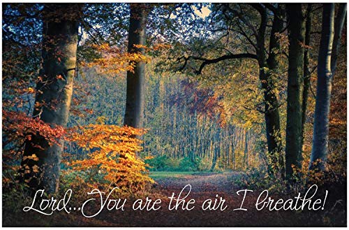Creation Enterprises Air I Breathe Inspirational Christian Poster-J57