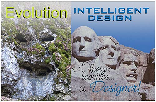 Creation Enterprises Evolution vs Intelligent Design Inspirational Christian Poster-F6