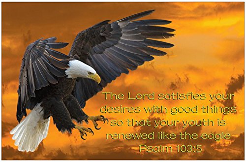 Creation Enterprises Eagle Youth Inspirational Christian Poster-E19