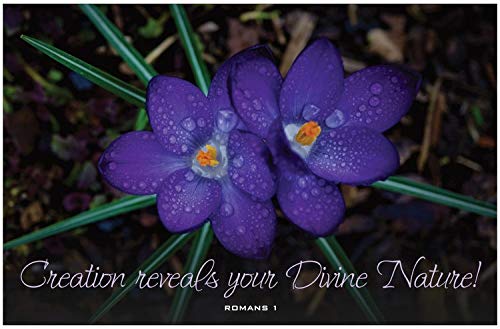 Creation Enterprises Divine Nature Inspirational Christian Poster-J55