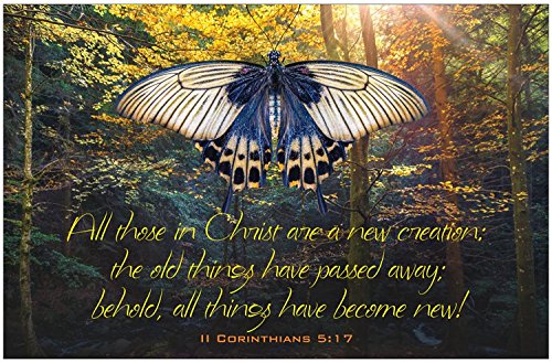 Creation Enterprises All Things New Inspirational Christian Poster-E17