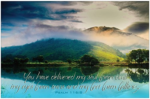 Creation Enterprises Delivered My Soul Inspirational Christian Poster-E60