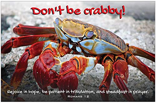 Creation Enterprises Don't Be Crabby Inspirational Christian Poster-C96