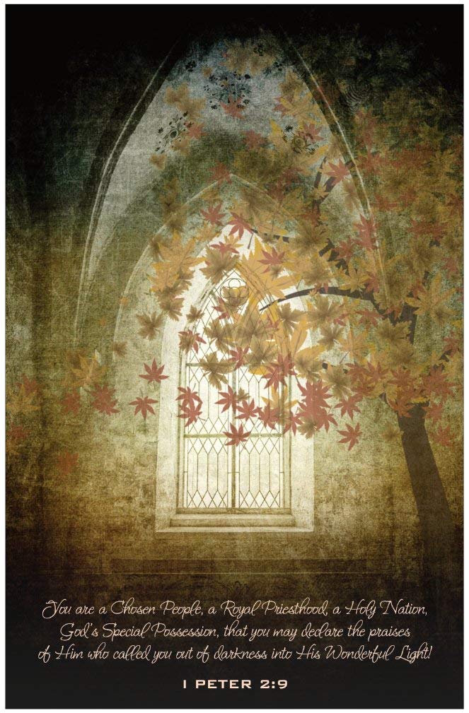 Creation Enterprises Chosen People Inspirational Christian Poster-I30