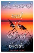 Bruised Reed Inspirational Christian Poster-L82