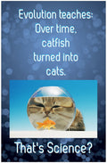 Creation Enterprises Cats Inspirational Christian Poster-D65