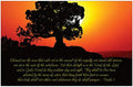Creation Enterprises Blessed Inspirational Christian Poster-H6