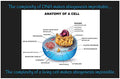 Creation Enterprises Complexity of DNA Inspirational Christian Poster-H93