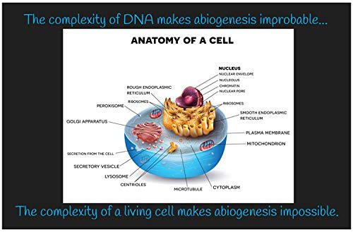 Creation Enterprises Complexity of DNA Inspirational Christian Poster-H93