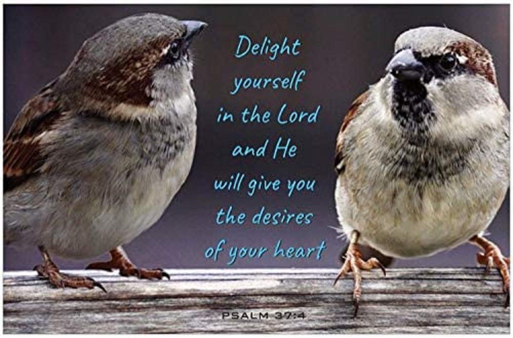 Creation Enterprises Delight Yourself Inspirational Christian Poster-I23